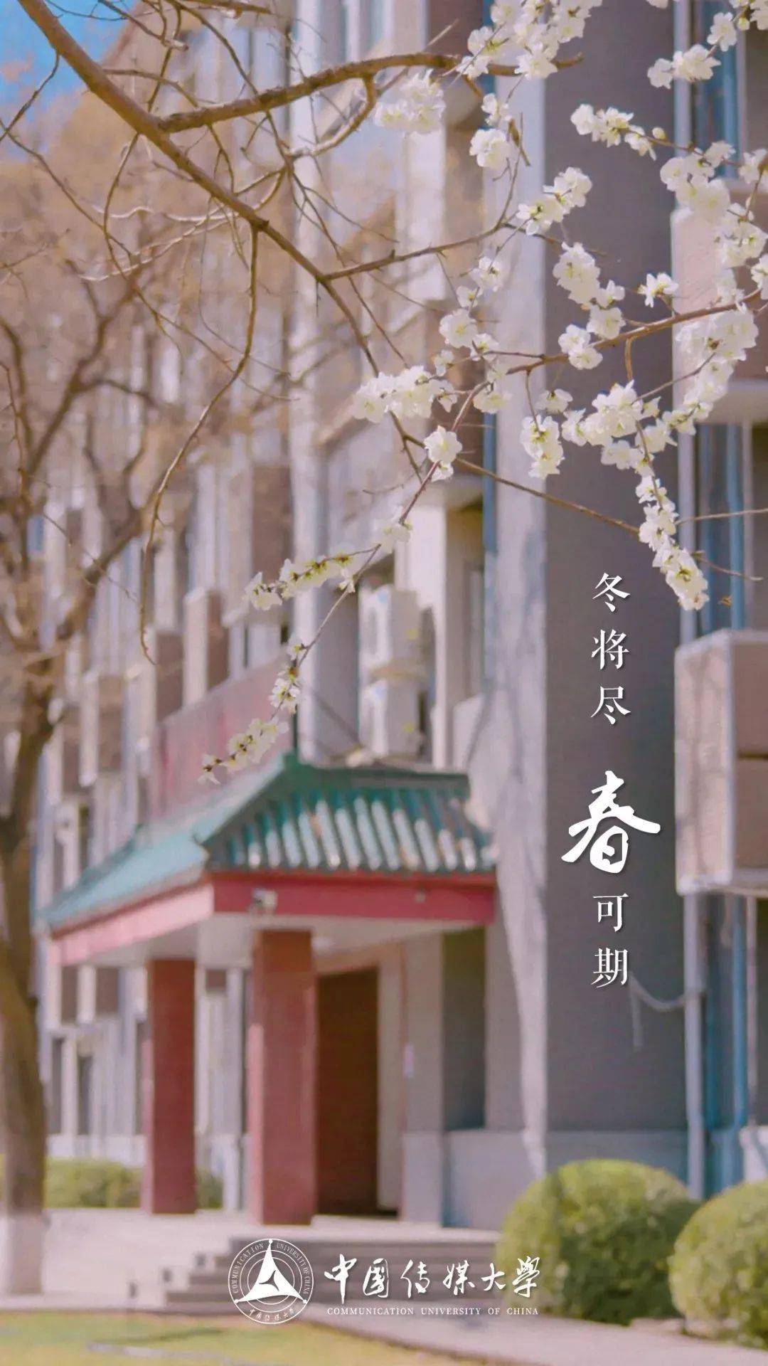 林业大学7南开大学6中南大学5浙江大学4武汉大学3复旦大学2清华大学1