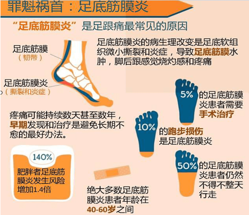 脚跟痛不红又不肿我怎么了