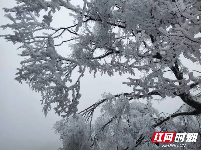 瑶山|邵阳新宁：瑶山冰雪交融 云海曼妙绝美