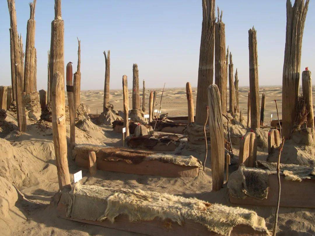 全国十大考古新发现新疆篇若羌罗布泊小河墓地