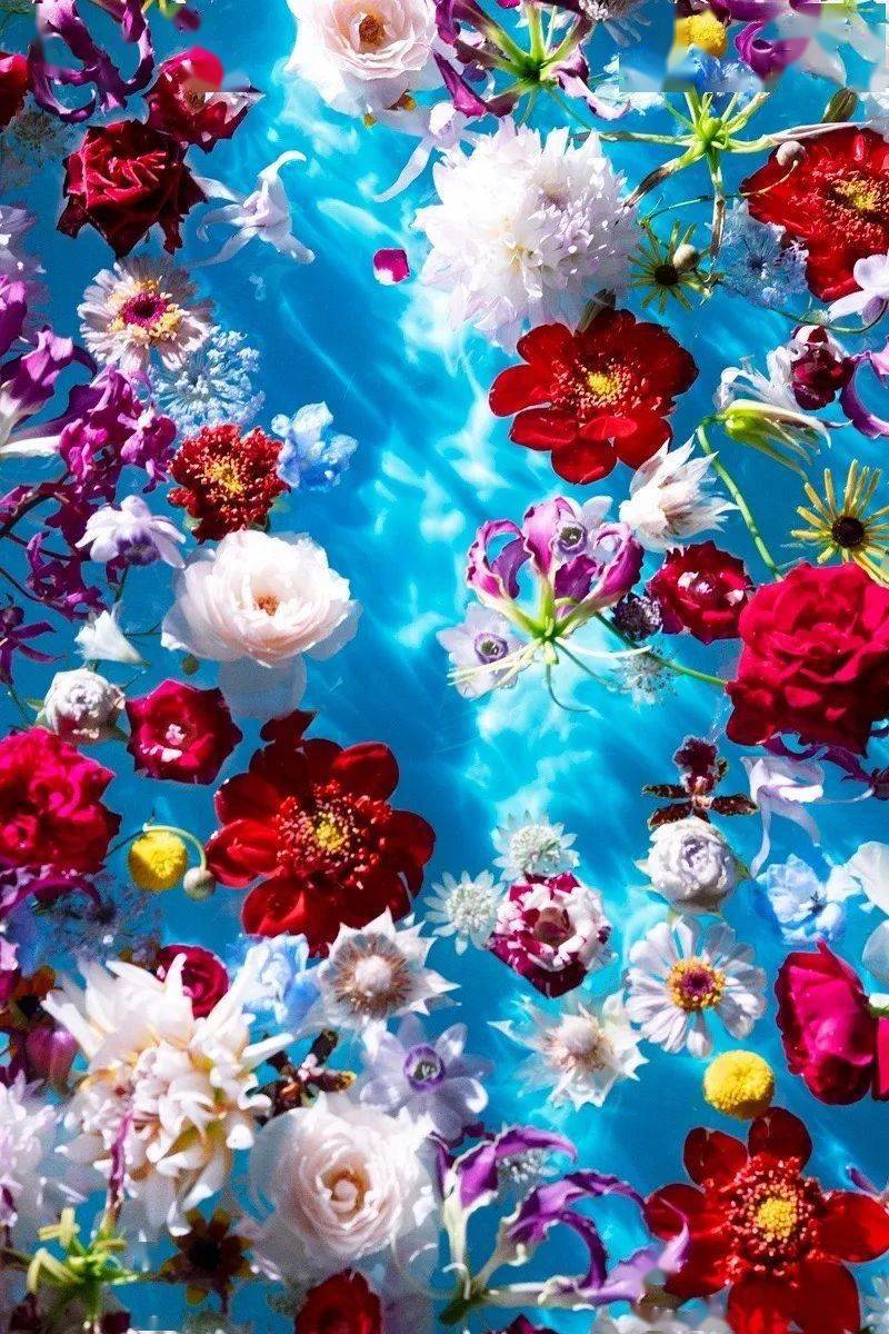 "蜷川实花展-虚构与现实之间"将在北京时代美术馆呈现_作品_展览_系列