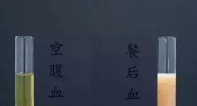 d3f84c274bab4a45b9c2d3604a390981.png