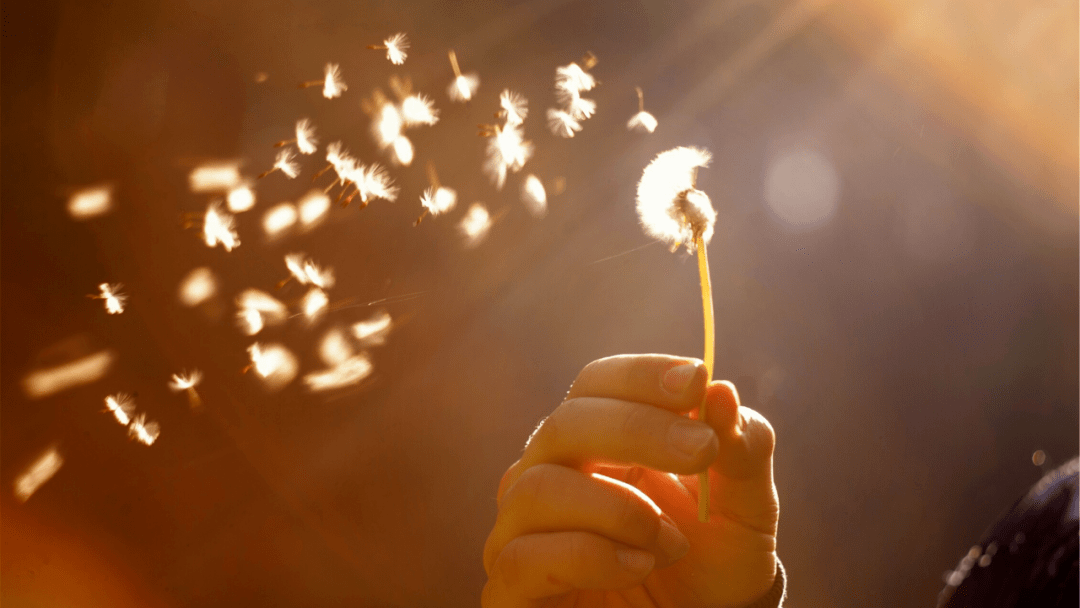 朗诵做一个温暖的人向阳而生