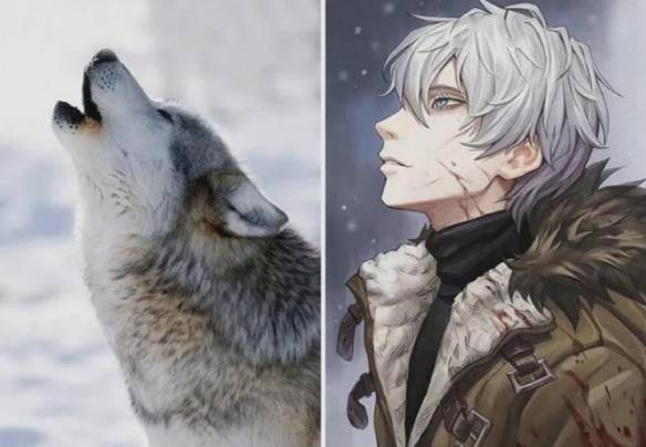 冷门动物拟人这么不萌的品种都可以的吗