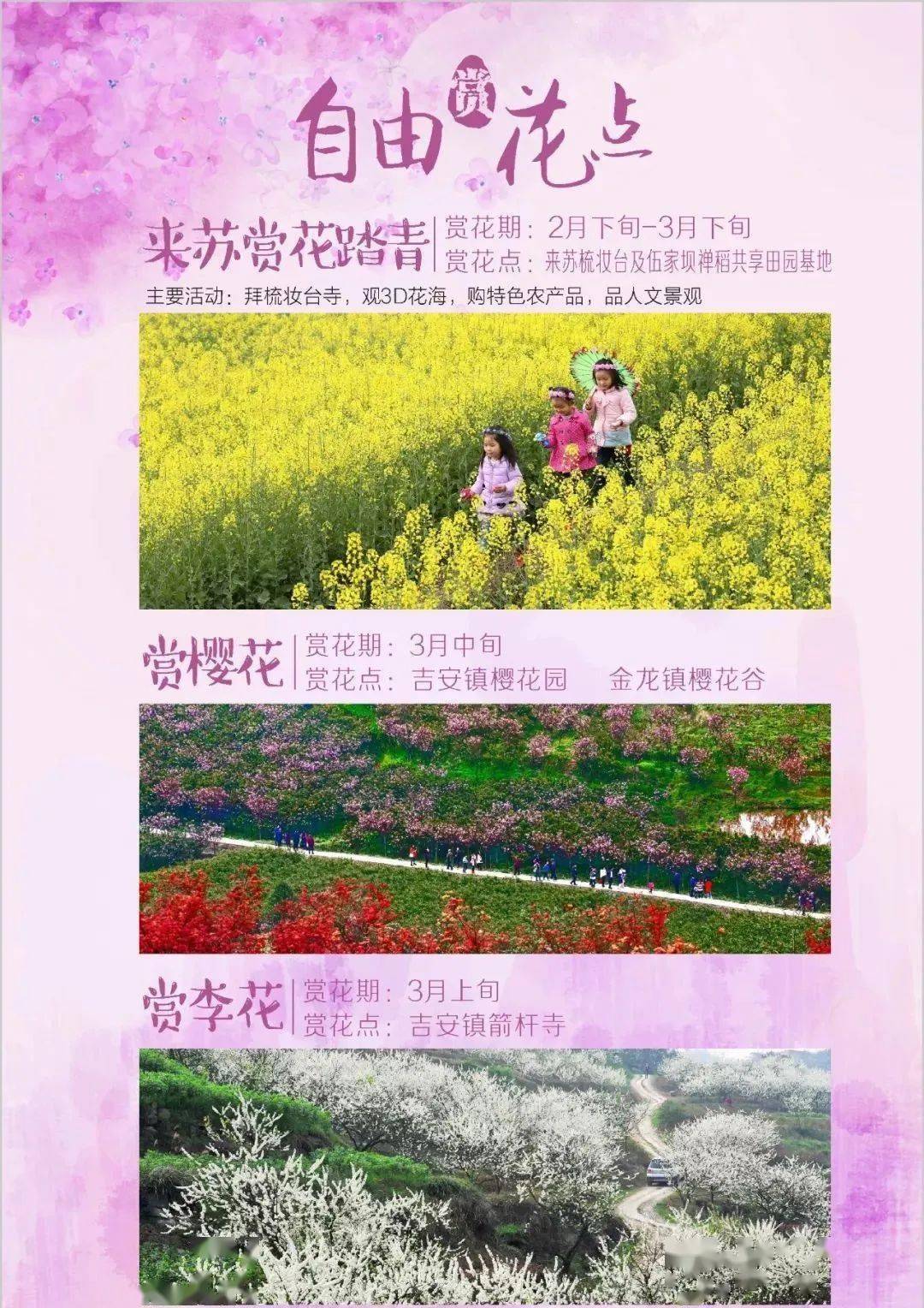 永川愛情城萬達廣場片區:實地·薔薇國際盛世華章藍光·雍錦府五