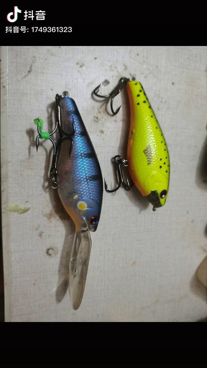 手贱路亚饵diy路亚饵