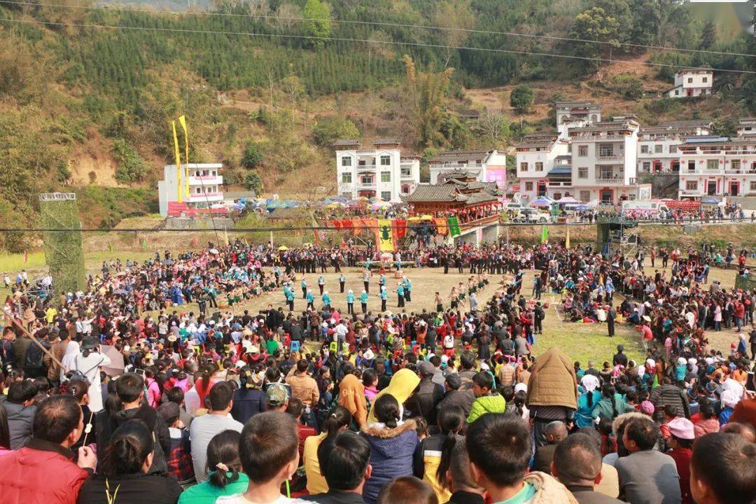 2006年,壮族蚂拐节列入第一批国家级非物质文化遗产项目名录.