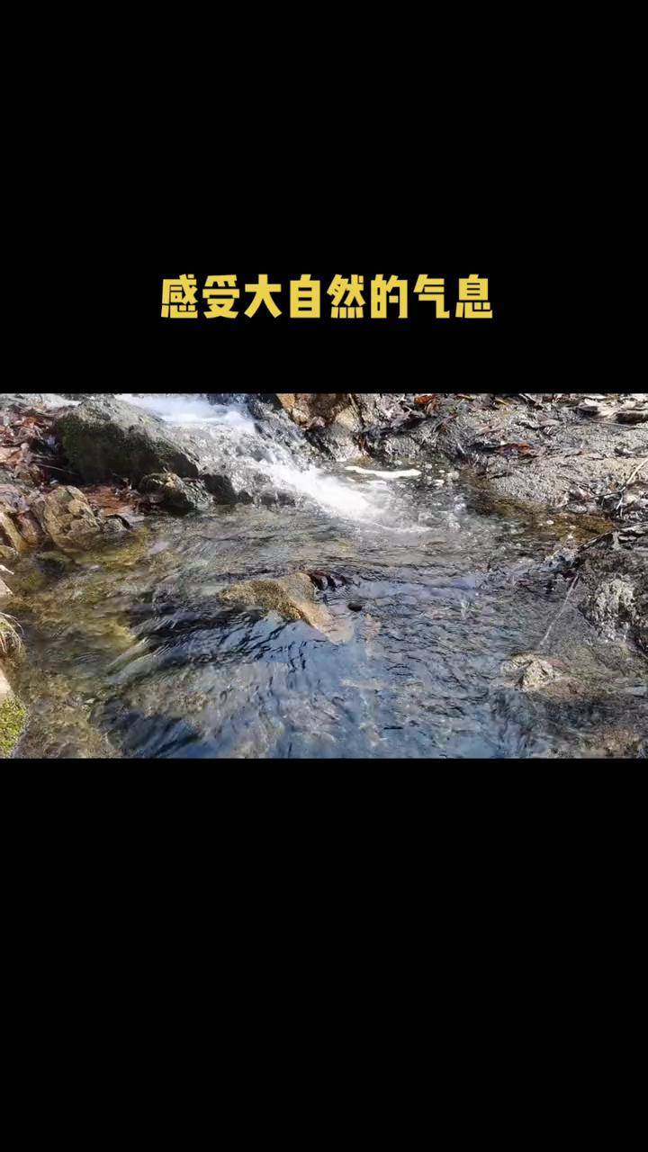 驻马店云梦山上的泉水原声无后期小溪流淌的声音是不是很解压山涧小溪