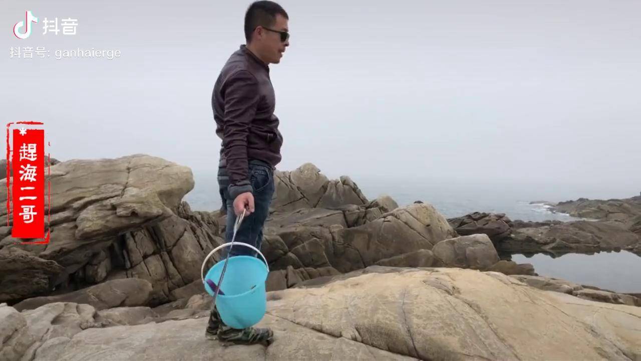 二哥来青岛黄岛赶海连三岛上抓海参掉水里了收获还是很到位的