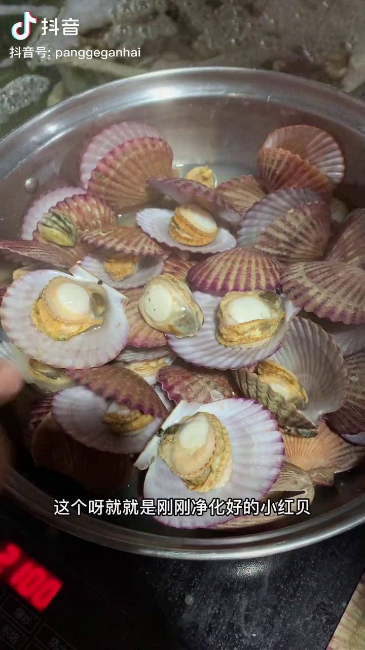 海鮮原產地抖音好物年貨節小紅貝