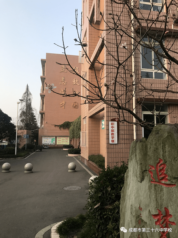 找寻热爱拥抱未来成都36中阳光心育老师开学寄语