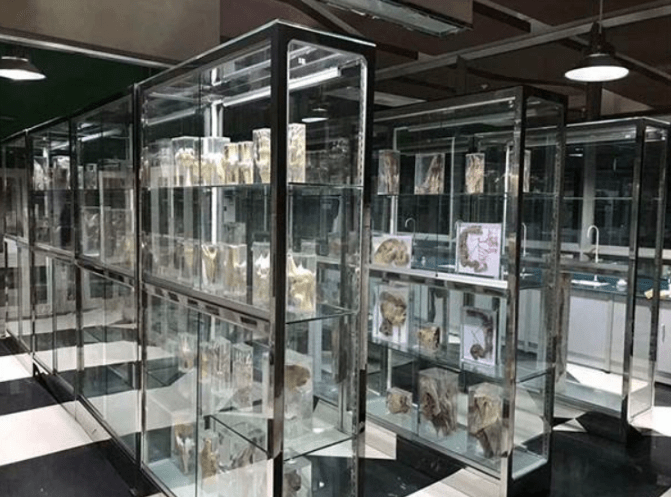 很多医生都知道,福尔马林含有的37%~40%的甲醛,是一种有毒的物质,不慎