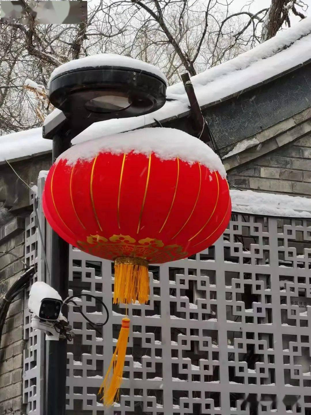 情人节北京飘雪想和你一起白了头