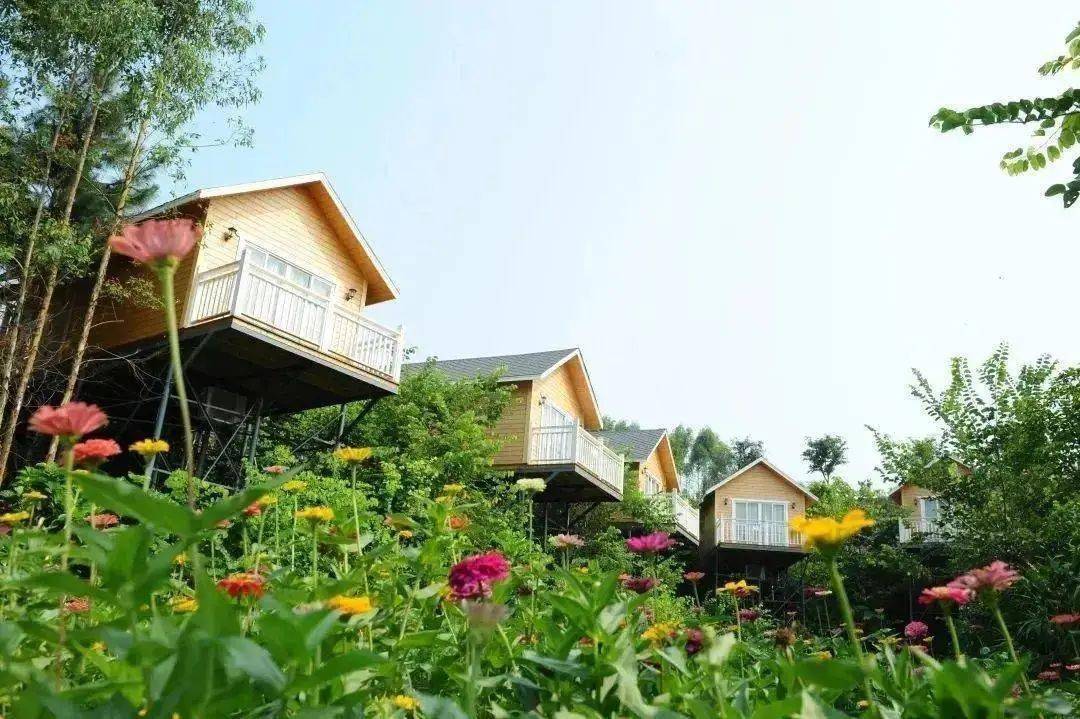 英德徐家庄生态度假村双人套餐自助早餐四季花海山顶营地石画动物世界