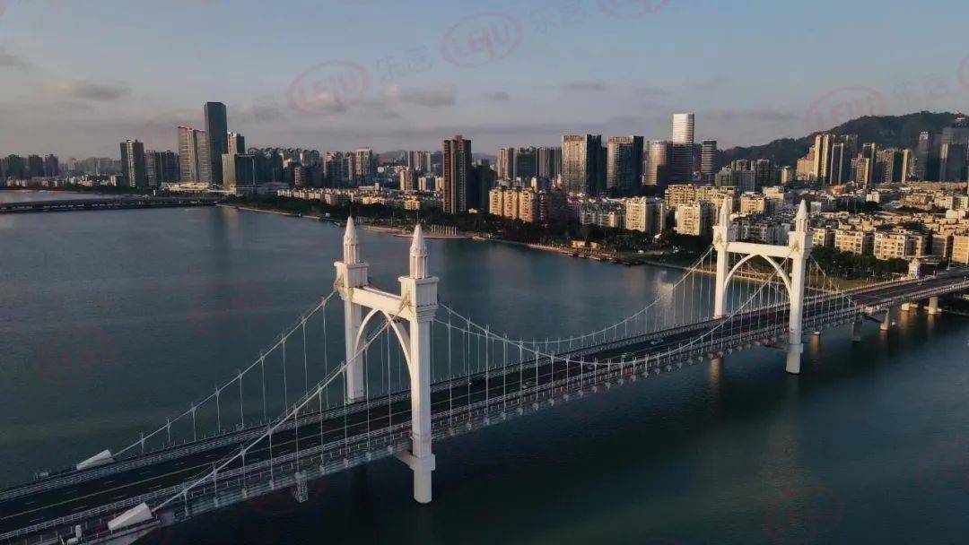 香海大桥坠亡图片
