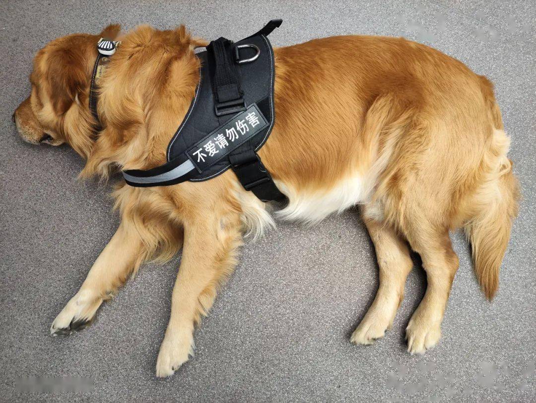 3299元的红米K50电竞版，又要焊死旗舰机的大门了？