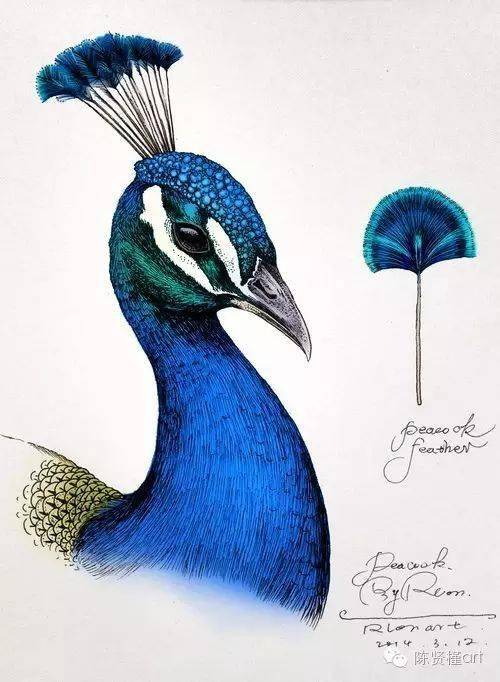 这些惊爆插画圈的作品,原来都是他画的_浮世绘_感觉_绘画