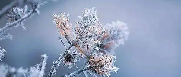 要下雪? 湿冷回归!今晚,新一轮雨雪来袭......_天气_中雪_影响