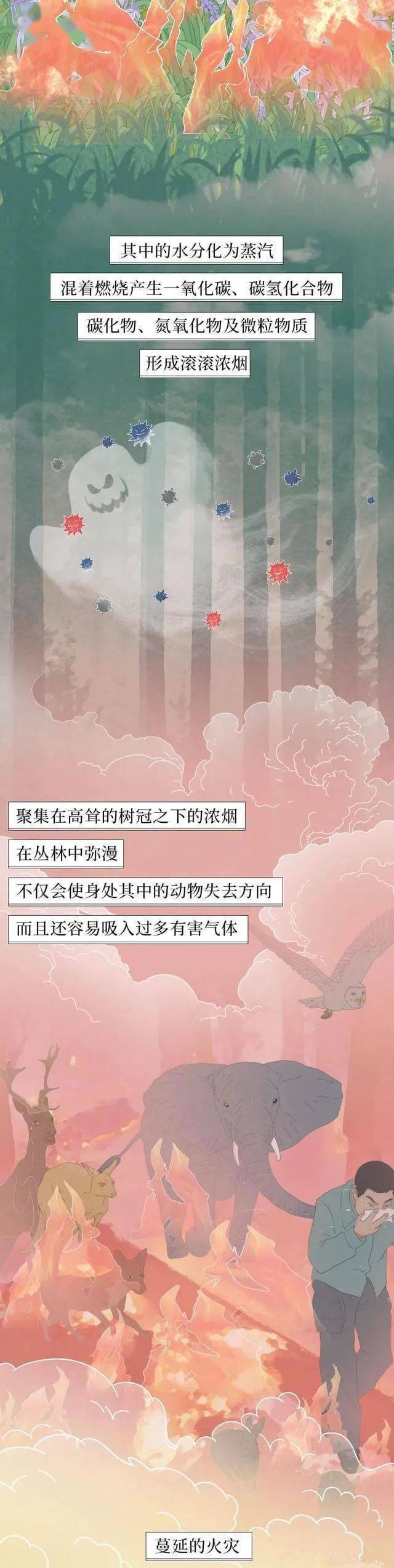 校对|森林草原防灭火丨一图搞懂森林火灾那些事