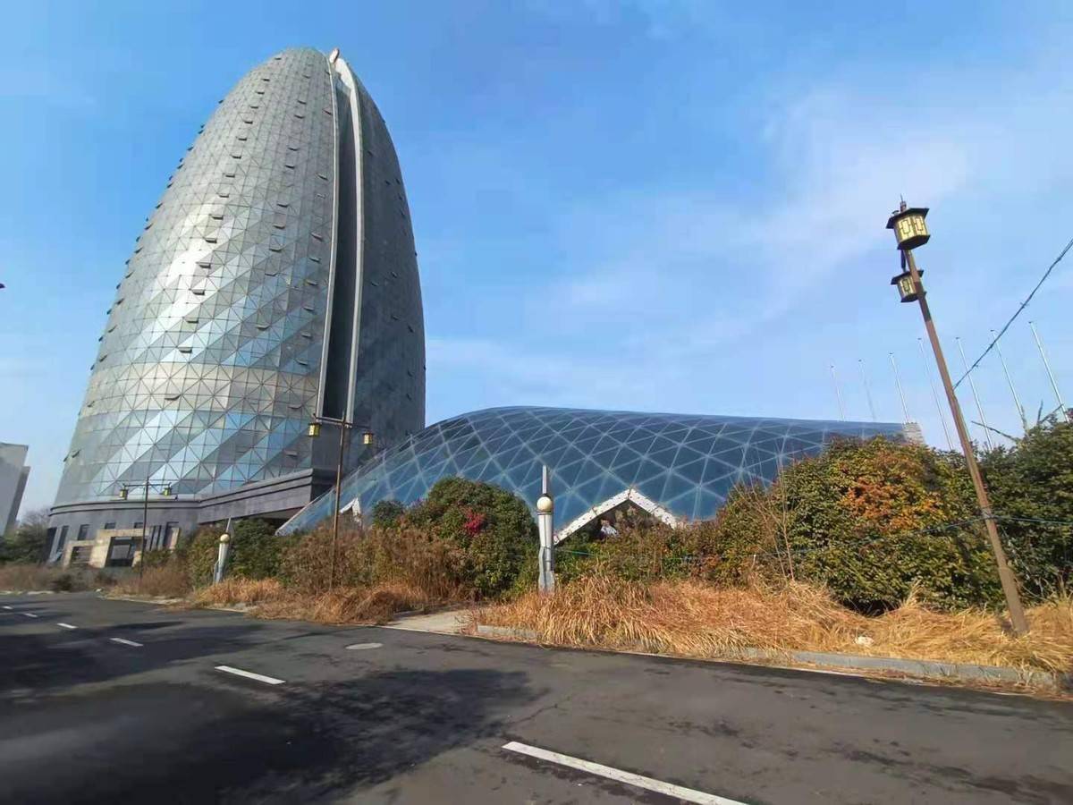 28亿元起拍!龙虾之都地标性建筑上线京东拍卖