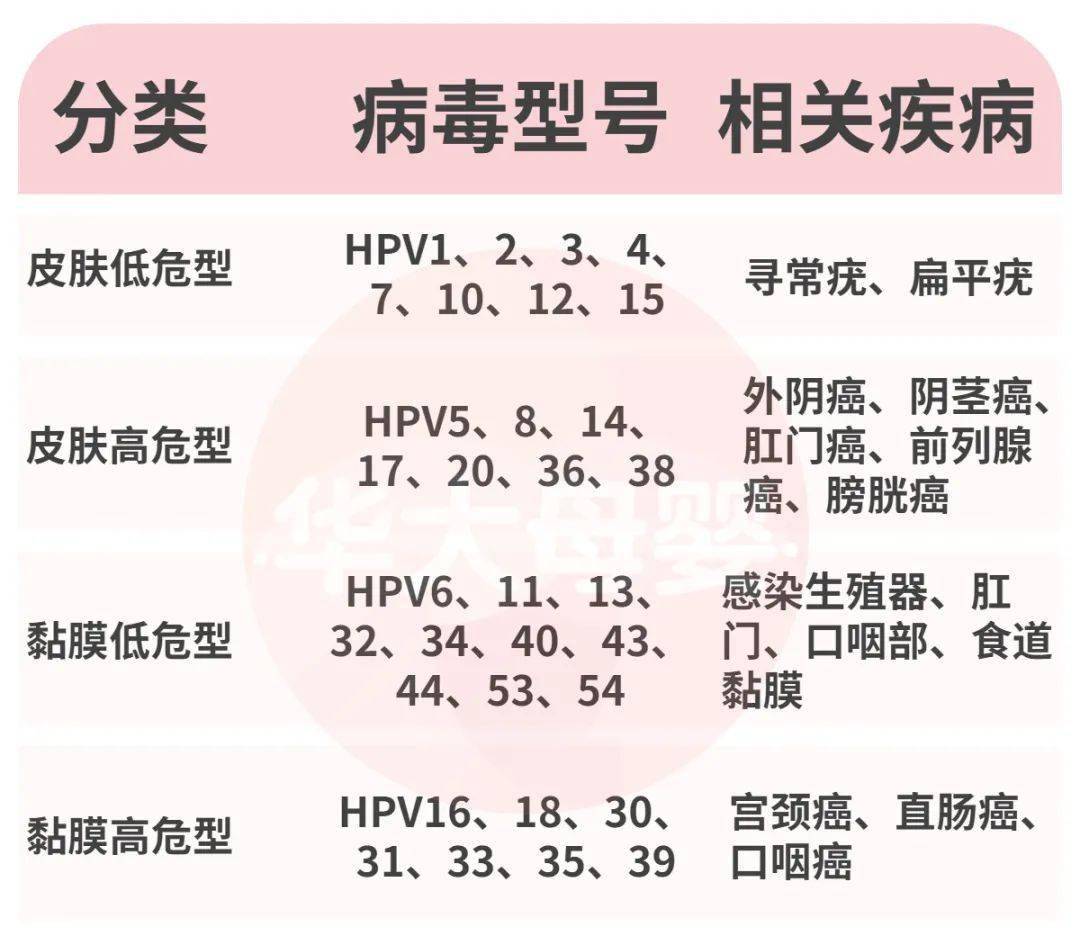 男性也會感染hpv,這樣做避免傳給愛人和寶寶_接種_病毒_疫苗