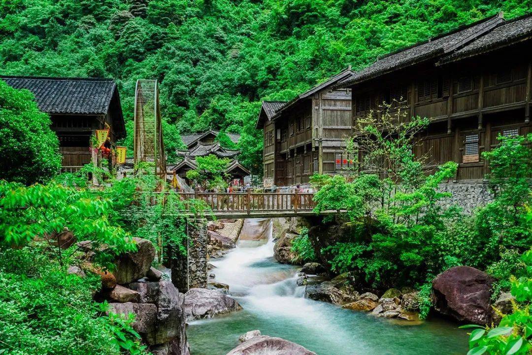 早春游 | 来大觉山"遇春"!