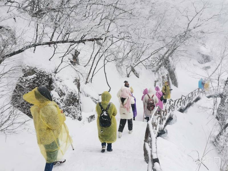 事宜|安徽黄山又又又降雪啦！惊羡游客、催热赏雪游