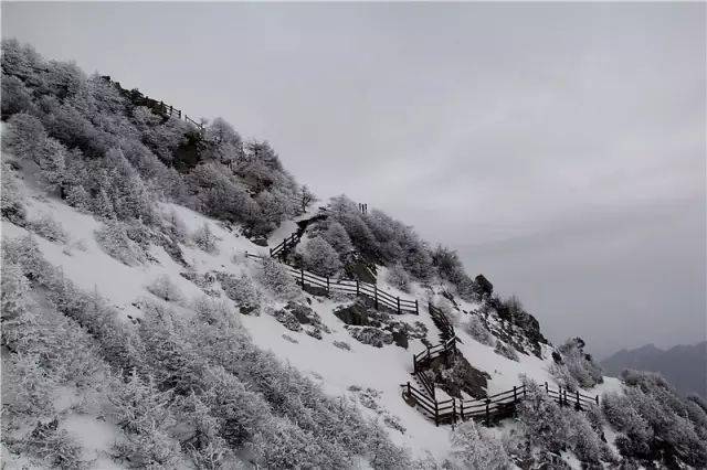 小说中的意境放空了一切看到了最纯洁的人间来源:太白山旅游区编辑:刘