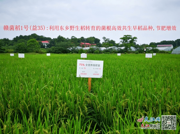 2021年江西省十大科技成果评选结果揭晓