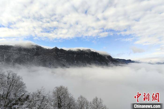 白雪|湖北神农架：白雪苍茫宛如仙境