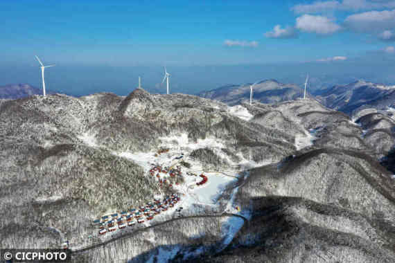 游客|飞雪迎春到