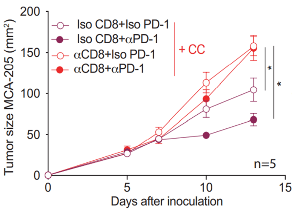 阻斷cd8 t細胞亞群后小鼠的腫瘤體積生長曲線卡姆果組成成分複雜