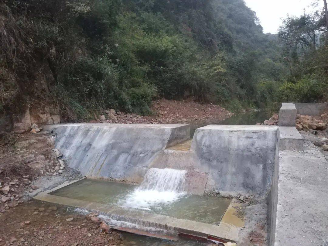 下山拦水坝修复中"水坝修好了,今年又可以种马蹄了",近日,高田镇下
