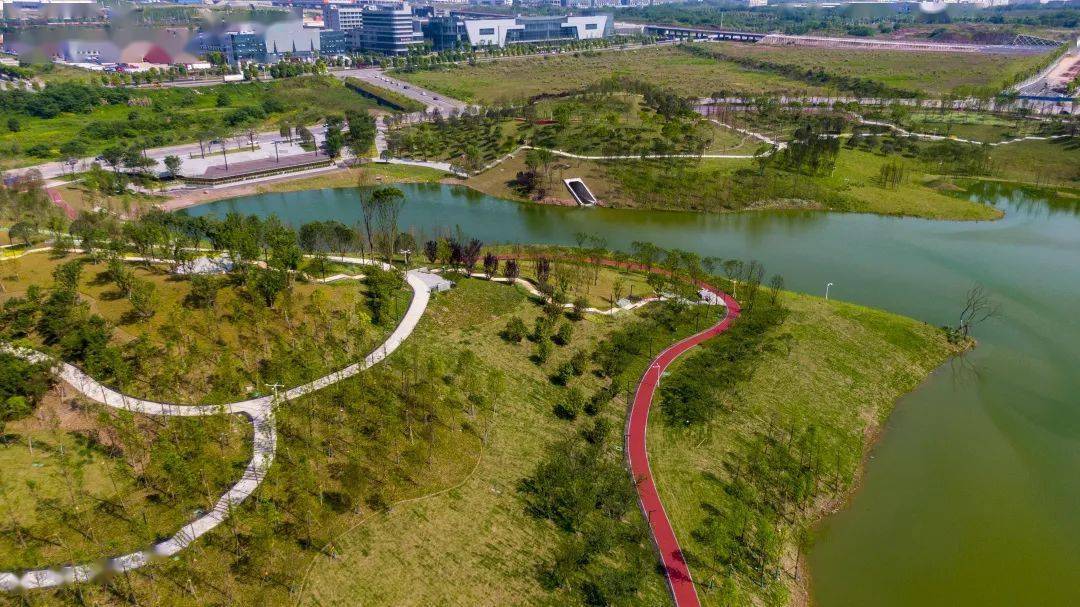 十四五沙坪坝区将新增一批山城步道都在这些地方