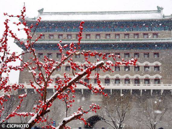 游客|飞雪迎春到