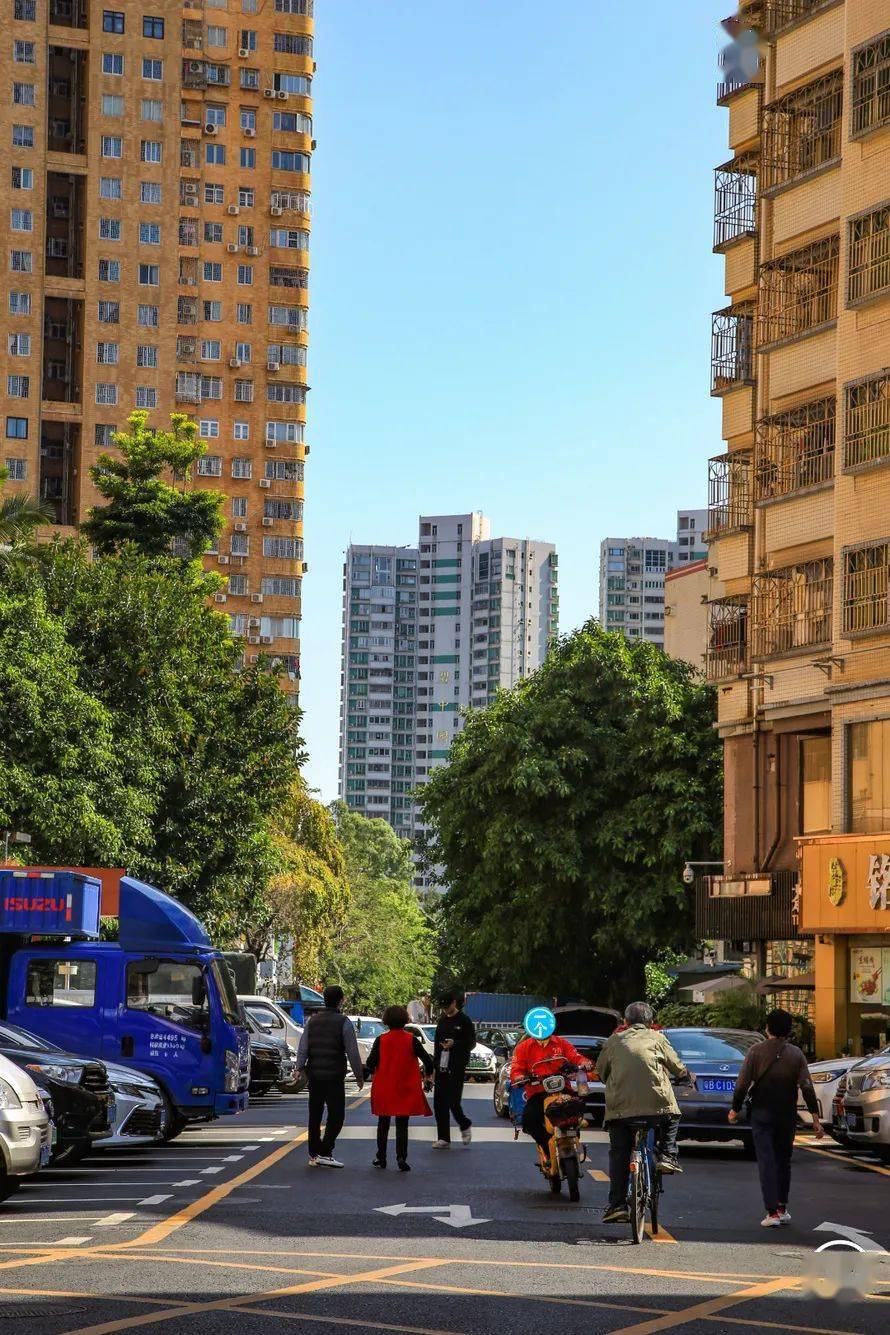 深圳"移民村",住着真正的客家土著?_水库新村_东湖公园_房租