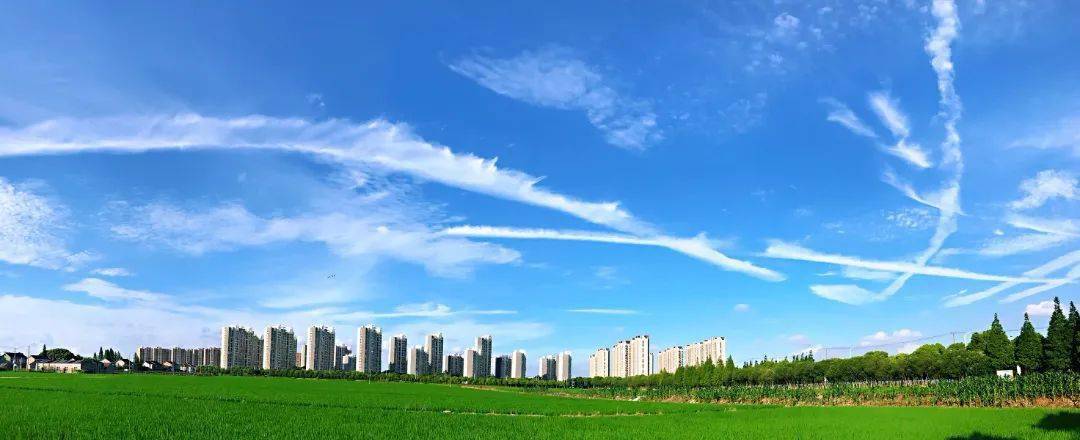 制定《外冈镇农村公共厕所建设和管理行动方案(2021-2025)》