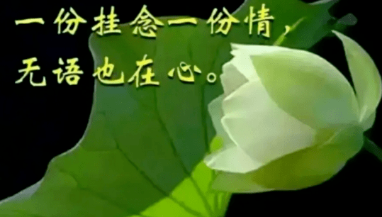 一份挂念一份情,无语也在心_一个人_永恒_的结果