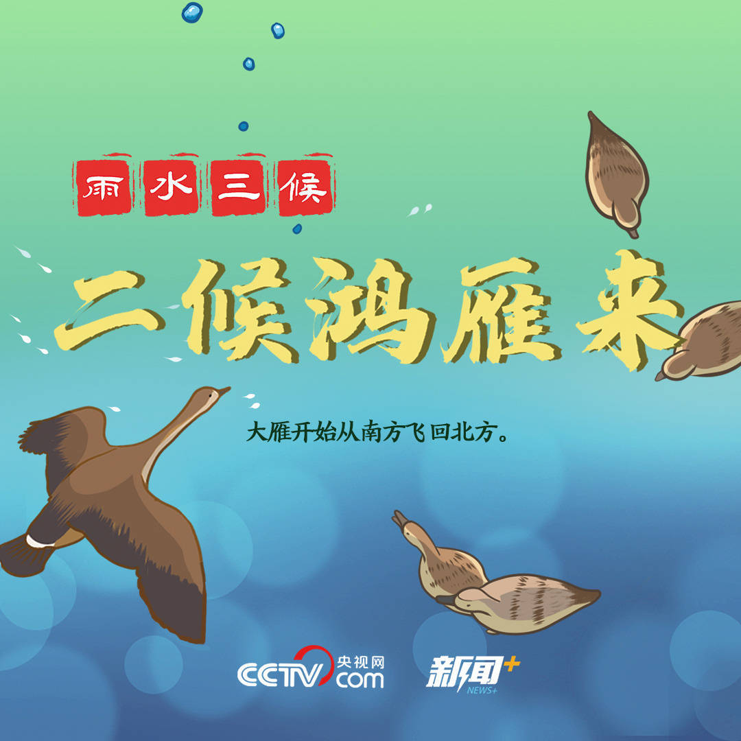 寻找|寻找雨水节气的硬核知识点