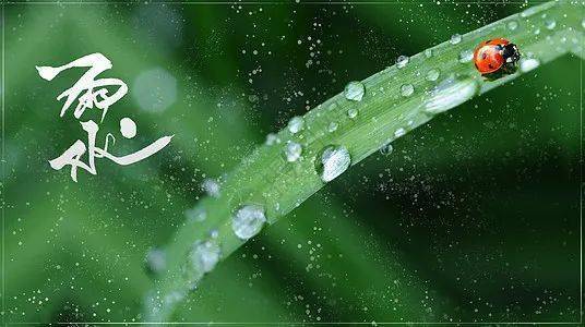 雨水好雨知时节当春乃发生