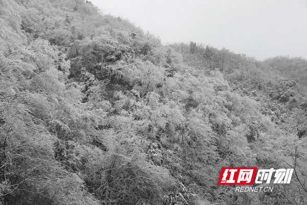 童话|湖南新田：春雪绘美景