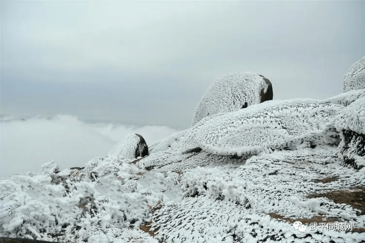 梁野山雪景图片