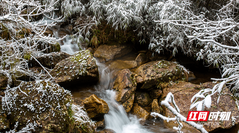 雪景|炎陵云上大院又又又下雪了，宛若一幅雪景山水画