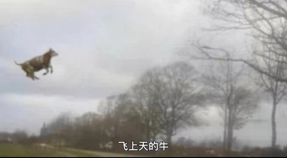 牛都被吹上天！欧洲出现有记录以来的最强风暴，风力堪比16级台风