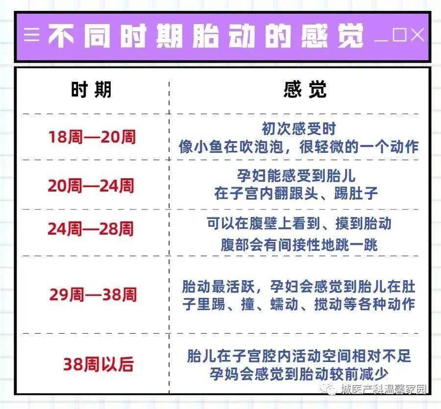 健康丨你真的会数胎动吗 胎儿 妈妈 小时 健康丨你真的会数胎动吗 胎儿 妈妈 小时