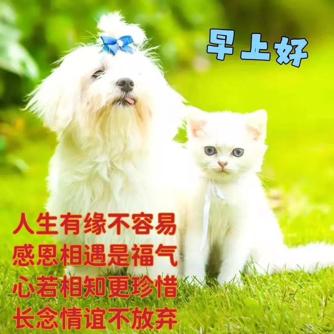 早安馨语早上好祝您一生健康平安