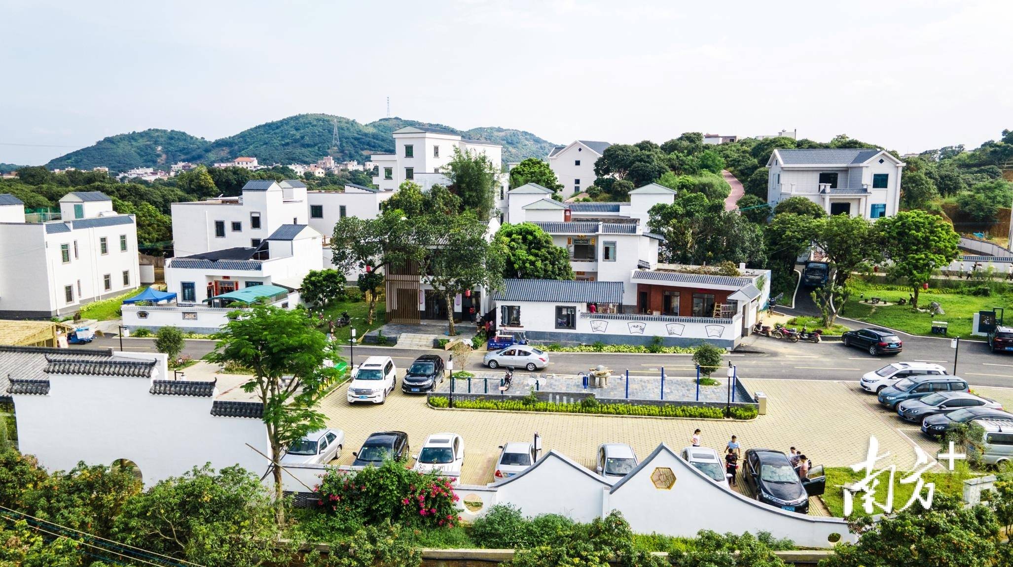 南方日报报道|茂名高州:美丽乡村从"盆景"变"全景"_元坝_发展_荔枝