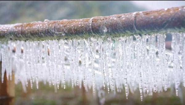 广东|万物皆可“冰墩墩”！广东多地迎来雾凇冰挂“雪景”奇观，美不胜收