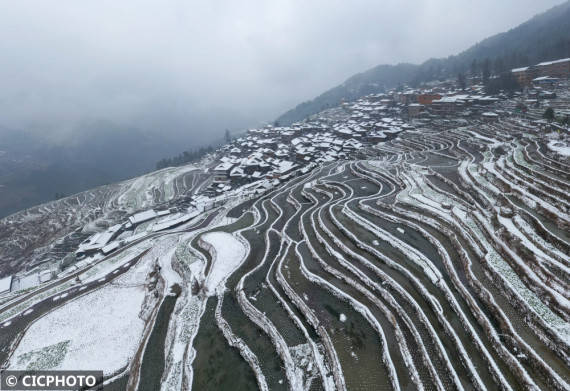 罗京来|贵州从江：雪落梯田美如画