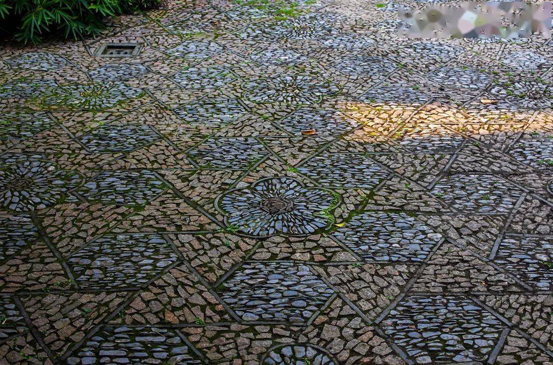 海棠|地上织绣，苏州园林的花街铺地